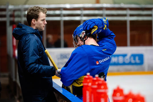 Alexander Holtz of Sweden in pain