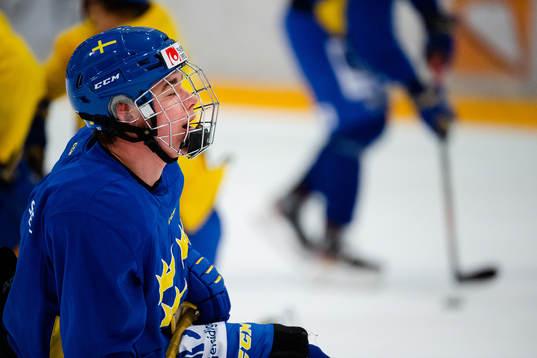 Alexander Holtz of Sweden in pain