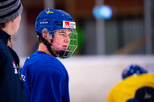 Alexander Holtz of Sweden in pain