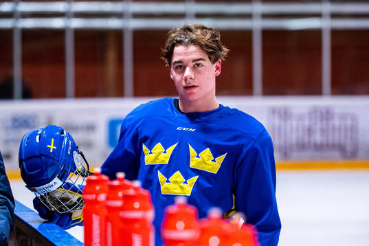 Alexander Holtz of Sweden