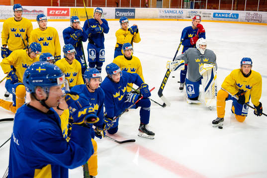 Players of Sweden