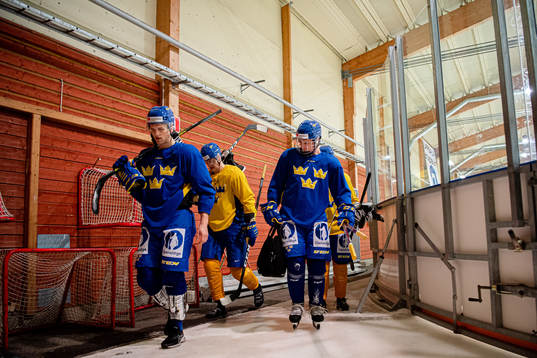 Adam Ginning and Alexander Holtz of Sweden
