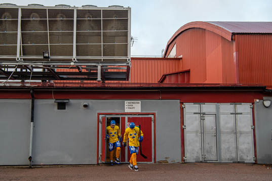 Players of Sweden