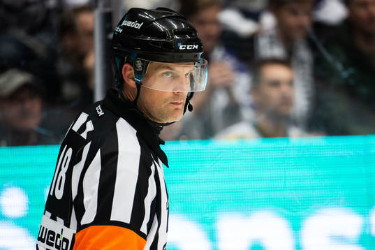 Domare Mikael Nord