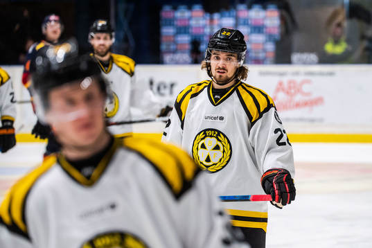 Brynäs Adam Brodecki deppar