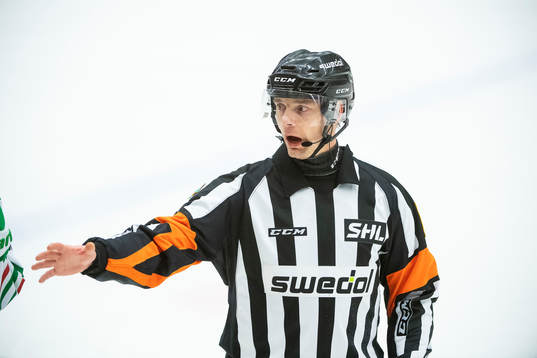 Domare Mikael Sjökvist