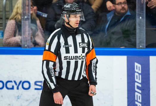 Domare Mikael Andersson