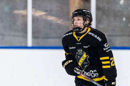 s Hanna Westerlund