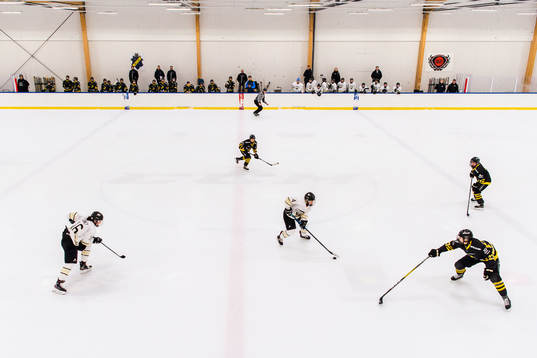 Vy över ishockeymatchen i SDHL mellan AIK och SDE