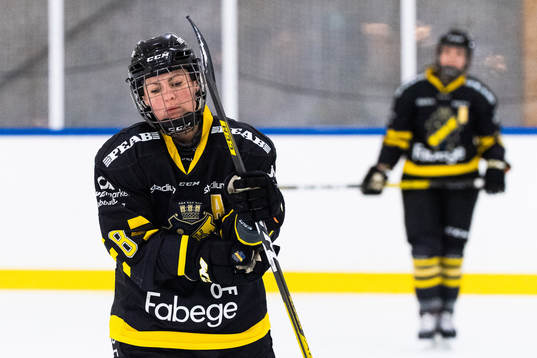 s Erica Uden Johansson deppar