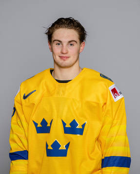 Nils Höglander of Sweden poses for a portrait