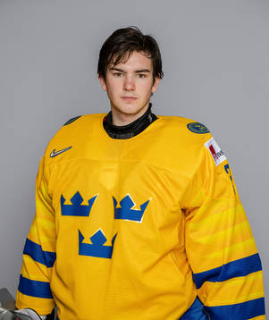 Goalkeeper Erik Portillo of Sweden poses for a portrait