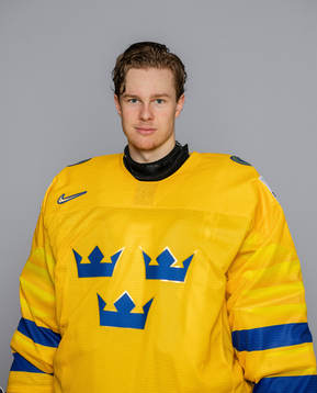 Goalkeeper Hugo Alnefelt of Sweden poses for a portrait