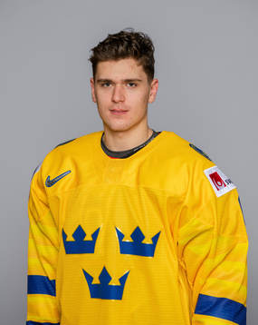Nikola Pasic of Sweden poses for a portrait