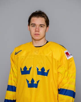 Alexander Holtz of Sweden poses for a portrait