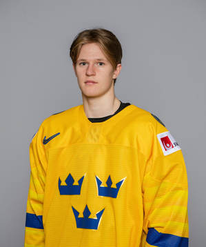 Hugo Gustafsson of Sweden poses for a portrait