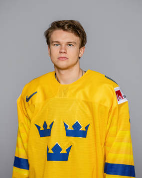 Mattias Norlinder of Sweden poses for a portrait