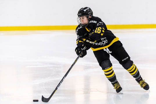 s Lisa Johansson