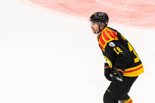 Brynäs Anton Rödin