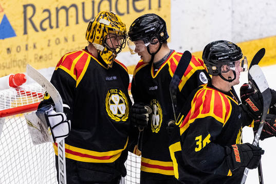 Brynäs målvakt Samuel Ersson jublar