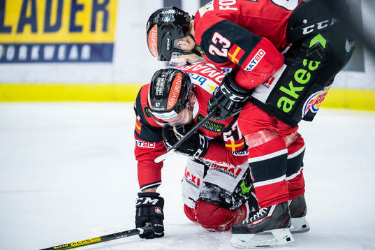 Malmö Redhawks Konstantin Komarek ligger skadad