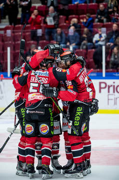 Malmö Redhawks spelare jublar