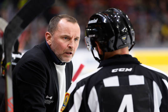 Luleås tränare Thomas Berglund pratar med domare Marcus