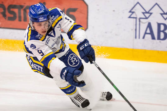 Leksands Marcus Karlberg