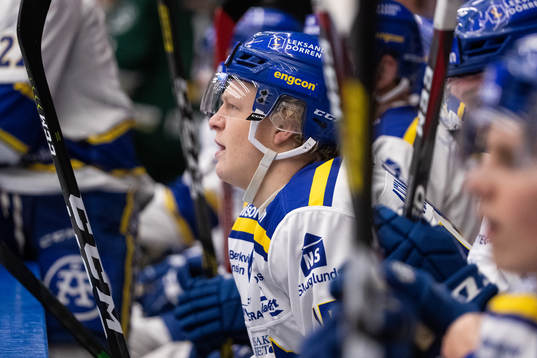Leksands Emil Heineman