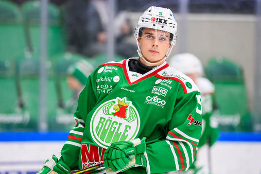 Rögles William Gustafsson