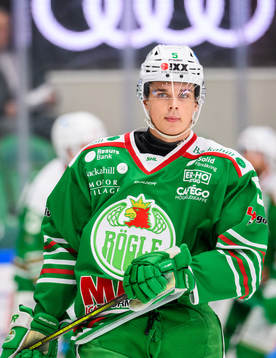 Rögles William Gustafsson