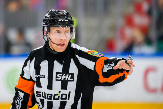 Domare Mikael Holm