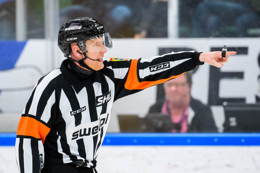 Domare Mikael Holm