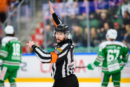 Domare Mikael Andersson