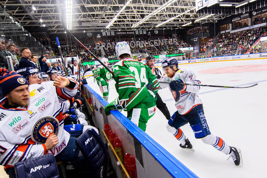 Bläddra bland fler bilder av Ishockey, SHL, Rögle - Växjö