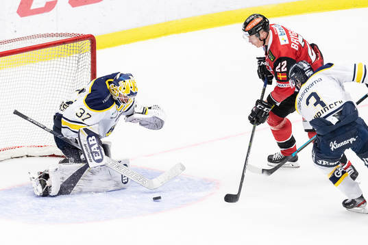 s David Gustafsson