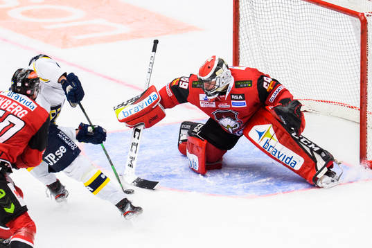 Malmö Redhawks målvakt Oscar Alsenfelt