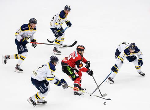 Bläddra bland fler bilder av Ishockey, SHL, Malmö Redhawks - HV71