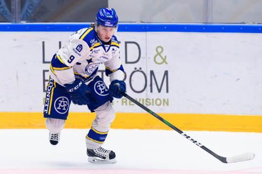 Leksands Marcus Karlberg