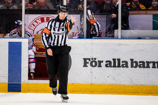 Domaren dömer mål för Brynäs