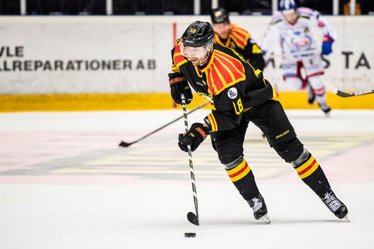 Brynäs Anton Rödin