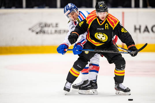 Brynäs Greg Scott