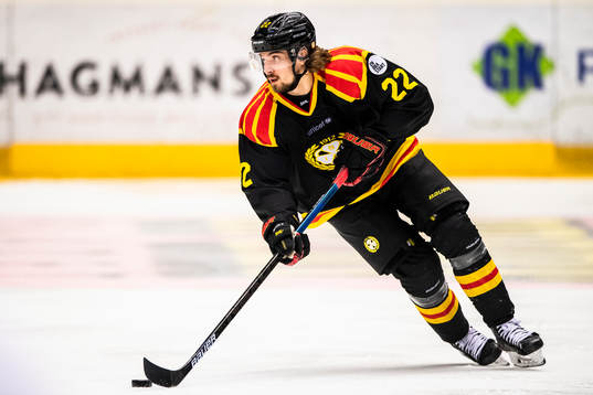Brynäs Adam Brodecki
