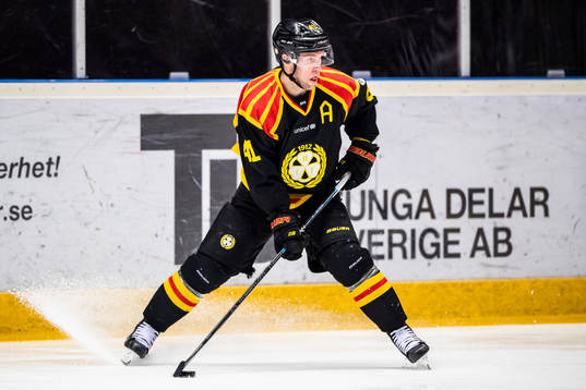 Brynäs Greg Scott