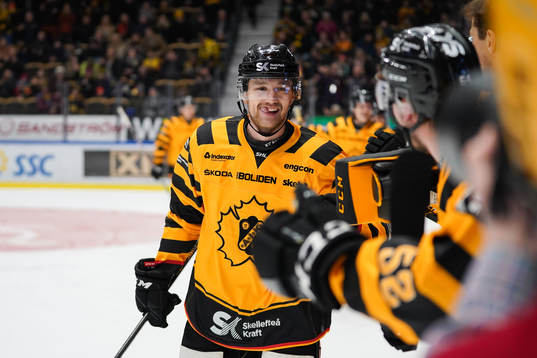 Bläddra bland fler bilder av Ishockey, SHL, Skellefteå - Örebro