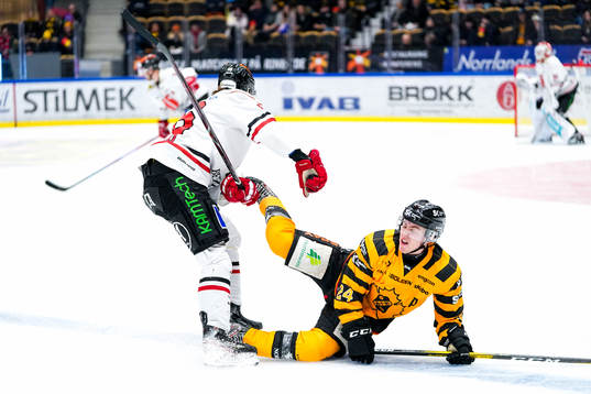 Skellefteås Andreas Wingerli