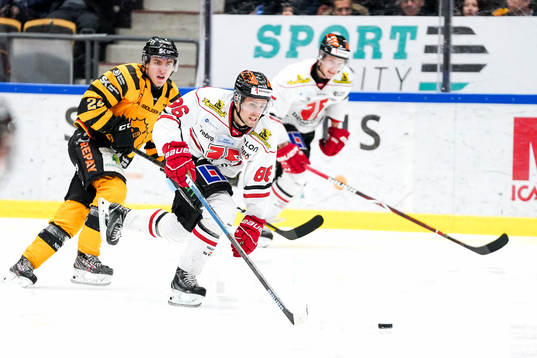 Skellefteås Andreas Wingerli