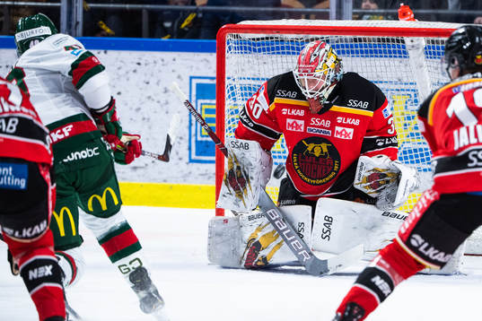 Luleås målvakt David Rautio