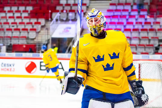 Goalkeeper Hugo Alnefelt  of Sweden