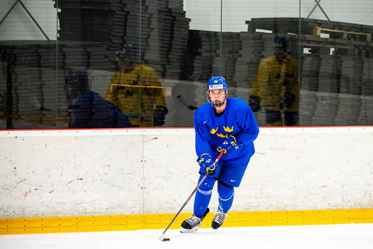 Alexander Holtz of Sweden